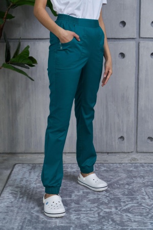 BE710 Брюки женские Классик-стрейч (170, 100, 108, /Лагуна 540)