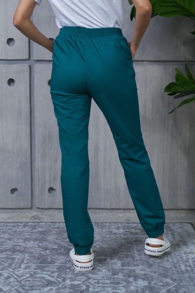 BE710 Брюки женские Классик-стрейч (170, 100, 108, /Лагуна 540)