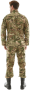 Костюм НАТО Савва Морозов C3MS0101, Рипстоп, лето (Артикул C3MS0101-946050,
Размер 3XL/182-188, Катонс)